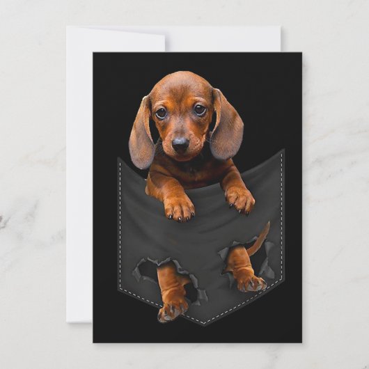Invitation Dachshund Dans Ma Poche Cadeau De Dachshund De Pet (Devant)