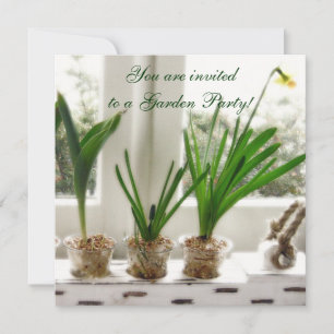Invitation Daffodiques ensoleillés dans la fenêtre