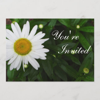 Invitation Daisy