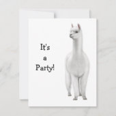 Invitation d'alpaga (Devant)