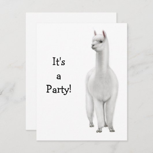 Invitation d'alpaga (Devant / Derrière)