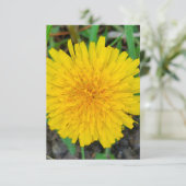 Invitation Dandelion (Debout devant)