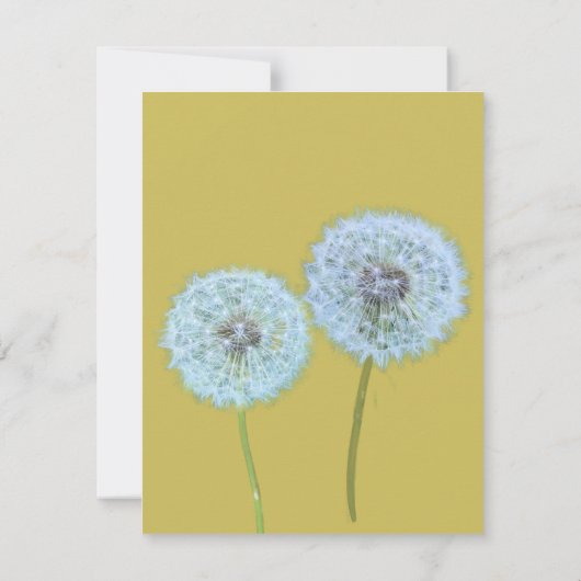 Invitation Dandelions, Dandelion Horloge Photo Enregistrer la (Dos)