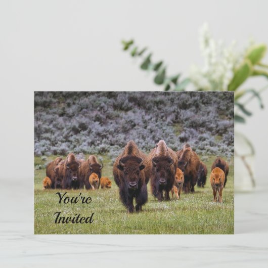 Invitation d'anniversaire Buffalo 2 (Debout devant)