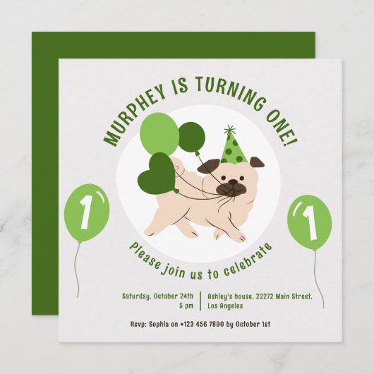 Invitation d'anniversaire Chien Et Ballons Verts (Devant / Derrière)