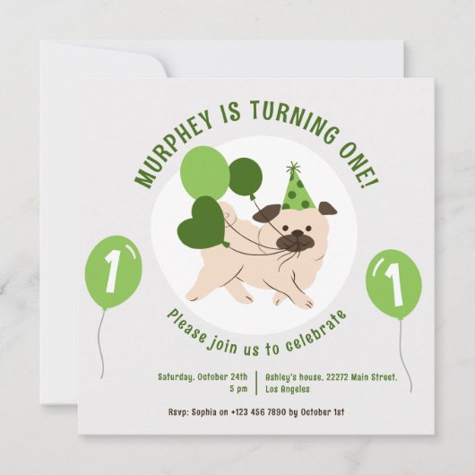 Invitation d'anniversaire Chien Et Ballons Verts (Devant)