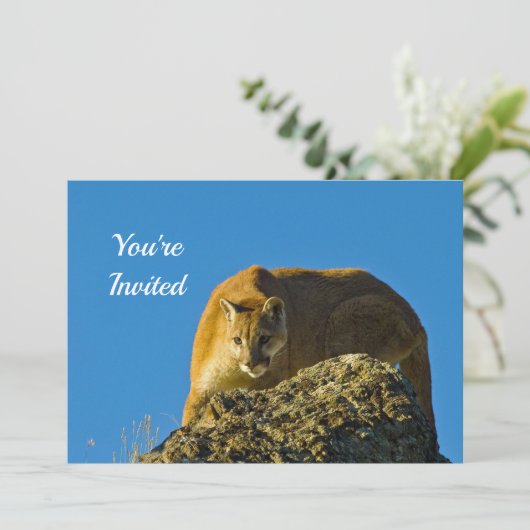 Invitation d'anniversaire Cougar (Debout devant)