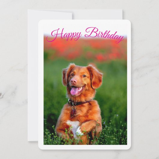 Invitation d'anniversaire de chiot mignon (Devant)
