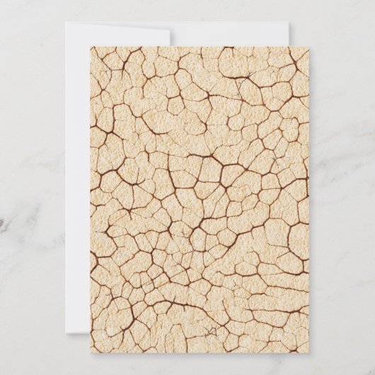 Invitation d'anniversaire de Dinosaur (Dos)