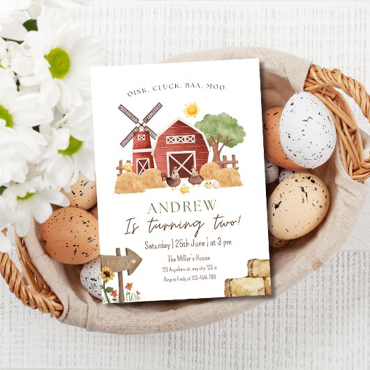 Invitation d'anniversaire de ferme, Barnyard Boys