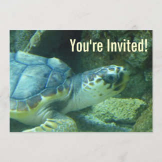Invitation d'anniversaire de la tortue de mer
