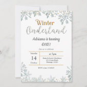 Invitation d'anniversaire de l'hiver Argent (Devant)