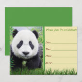 Invitation d'anniversaire de panda (Devant / Derrière)