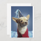 Invitation d'anniversaire du chien de fête (Devant / Derrière)