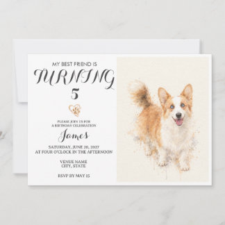 Invitation d'anniversaire pour animal de compagnie