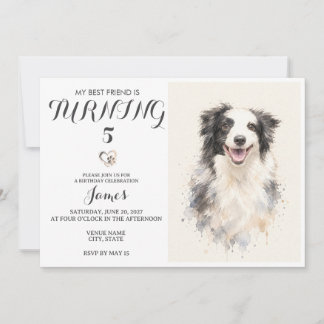 Invitation d'anniversaire pour animal de compagnie