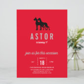 Invitation d'anniversaire pour Grand Danois (Debout devant)
