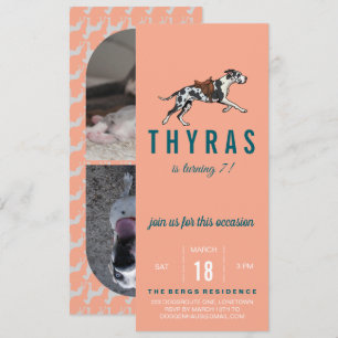 Invitation d'anniversaire pour Grand Danois avec p