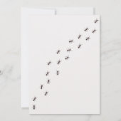 Invitation d'anniversaire pour insecte • Invitatio (Dos)