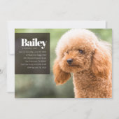 Invitation d'anniversaire pour un chien de marionn (Devant)