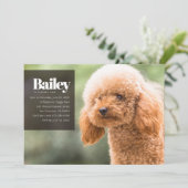 Invitation d'anniversaire pour un chien de marionn (Debout devant)