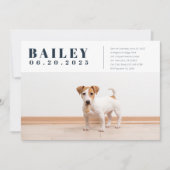 Invitation d'anniversaire pour un chien de marionn (Devant)