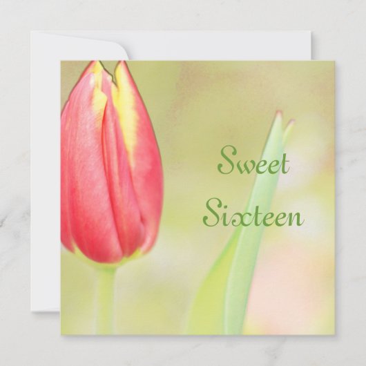 Invitation d'anniversaire seize ans tulipe rouge d (Devant)