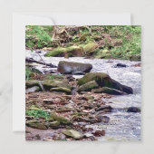 Invitation Dans un ruisseau (Dos)