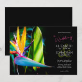 Invitation Dark Moody Tropical Floral Bird of Paradise Black (Devant / Derrière)
