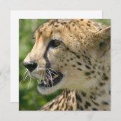 Invitation d'attaque de guépard (Devant / Derrière)