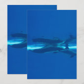 Invitation Dauphins et océan bleu, turquoise et aqua, eau (Devant / Derrière)