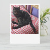 Invitation Dave mignon (Debout devant)