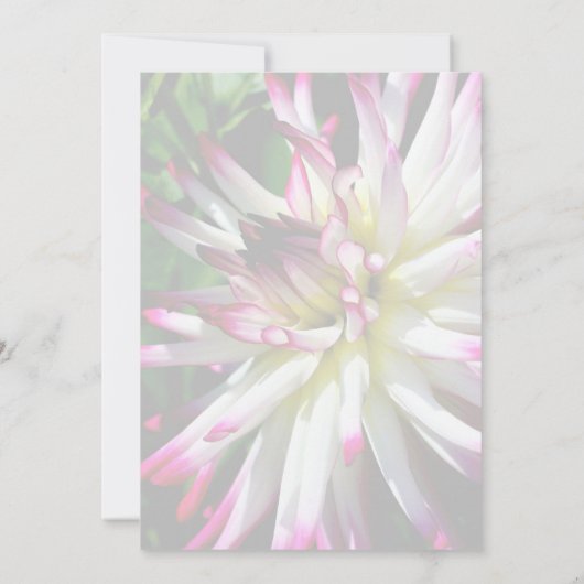 Invitation Dazzling Dahlia (Dos)