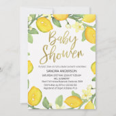Invitation de baby shower de guirlande de (Devant)