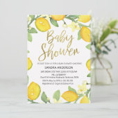 Invitation de baby shower de guirlande de (Debout devant)