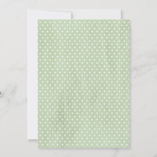 Invitation de Baby Sprinkle Fiesta Bébé Cactus Ver (Dos)