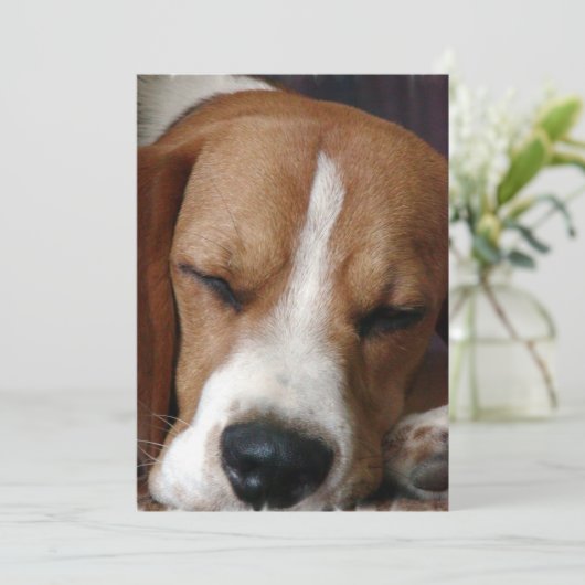 Invitation de beagle de sommeiller (Debout devant)