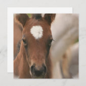 Invitation de bébé de cheval (Devant / Derrière)