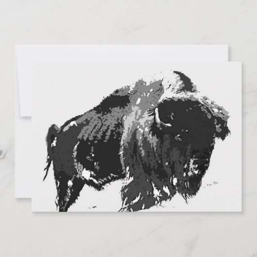 Invitation de bisons / buffles - Invitations de bu (Devant)