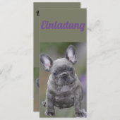 Invitation de Bouledogue Français  (Devant / Derrière)