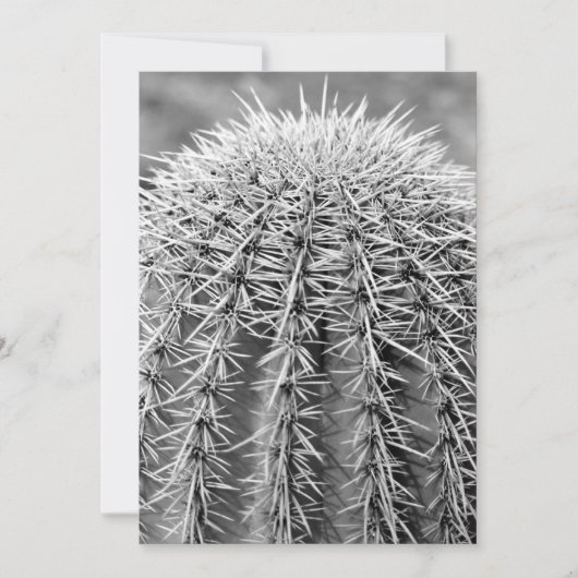 Invitation de Buzz Cut Cactus (AZ Sonoran Desert) (Devant)