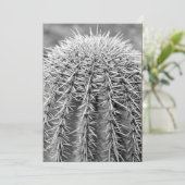 Invitation de Buzz Cut Cactus (AZ Sonoran Desert) (Debout devant)