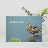 Invitation de canard (Debout devant)