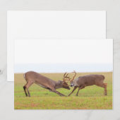 Invitation de cerfs qui se battent (Devant / Derrière)