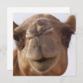 Invitation de chameau (Devant / Derrière)