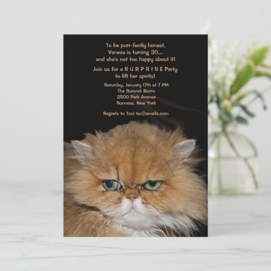Invitation de chats grumpy (Debout devant)