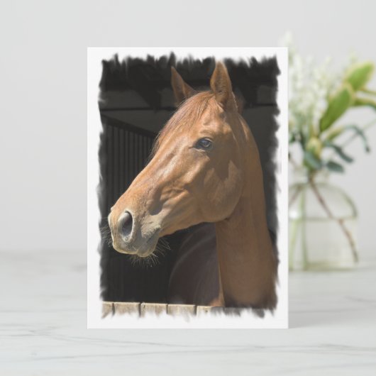 Invitation de cheval de pur sang (Debout devant)