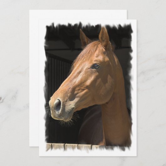 Invitation de cheval de pur sang (Devant / Derrière)