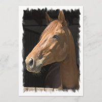 Invitation de cheval de pur sang
