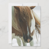 Invitation de cheval sauvage de mustang (Devant)